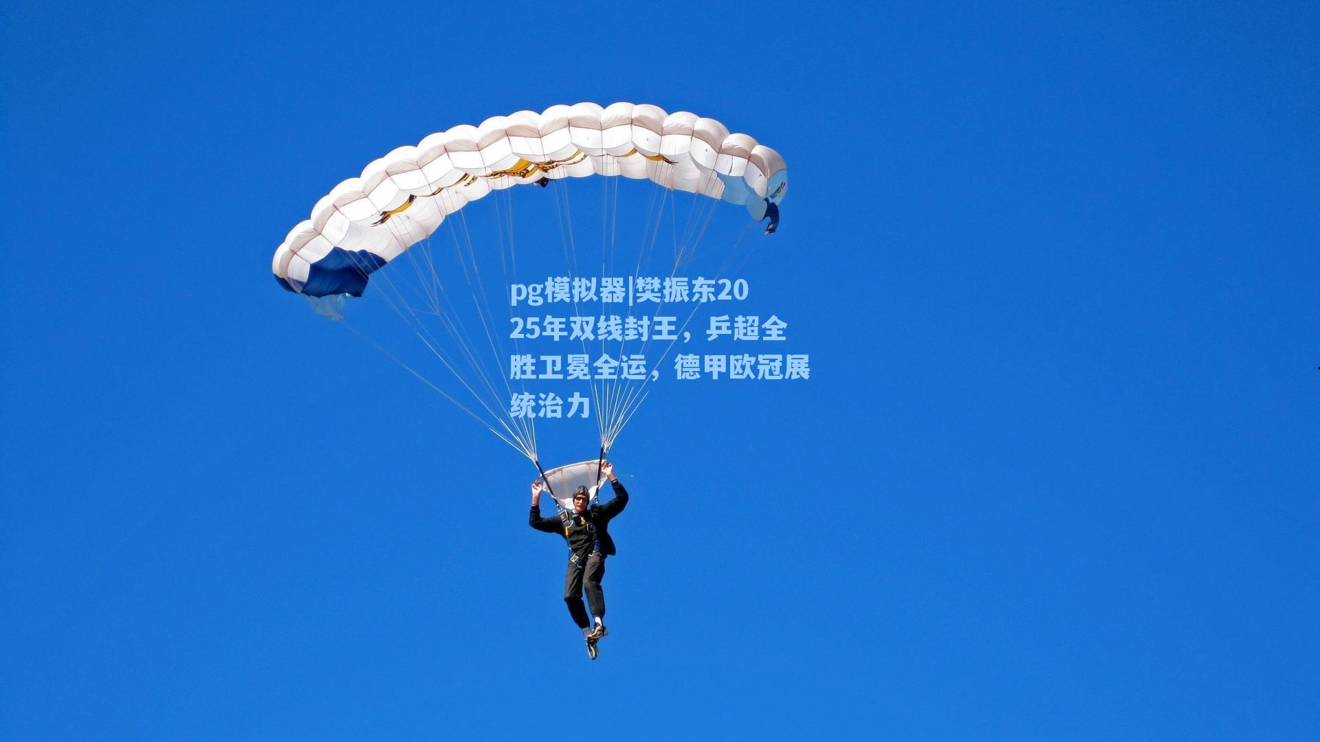 樊振东2025年双线封王,乒超全胜卫冕全运,德甲欧冠展统治力